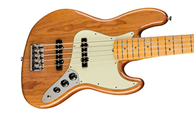 Fender American Professional II Jazz Bass V Highlight 1