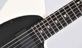 Fender Jim Root Telecaster Electric Guitar