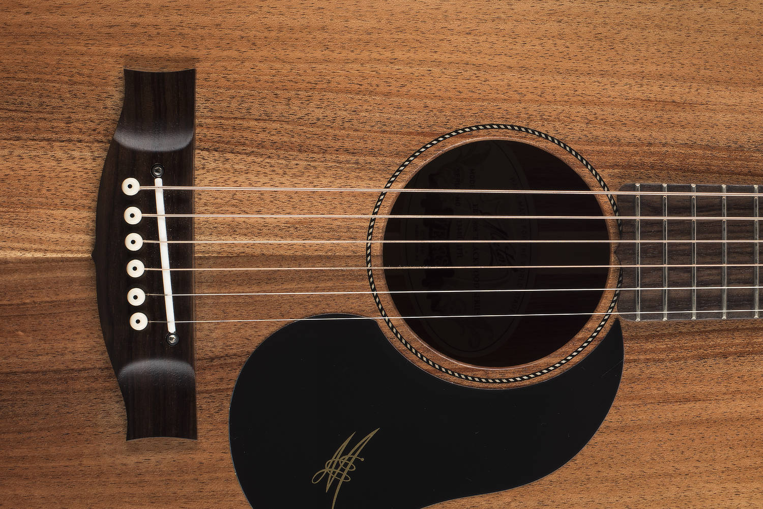 Maton EBW808 Blackwood Acoustic Guitar