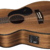 Maton EBW808 Blackwood Acoustic Guitar