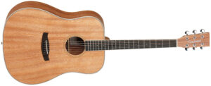 Tanglewood TWUD Union Dreadnought Solid Top Acoustic Guitar